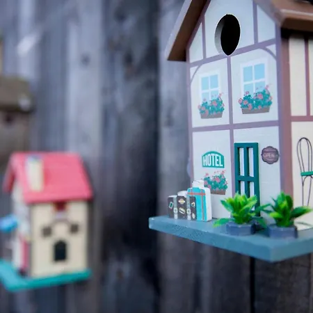 Campsite Zeezand Recreatie Cozy Chalets *